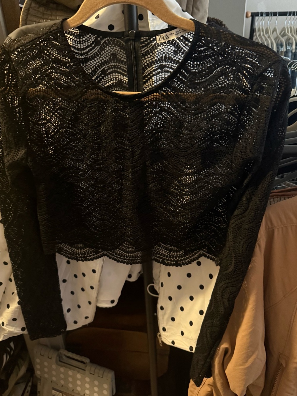 ZARA Black Sheer Lace Long-Sleeve Crop Top